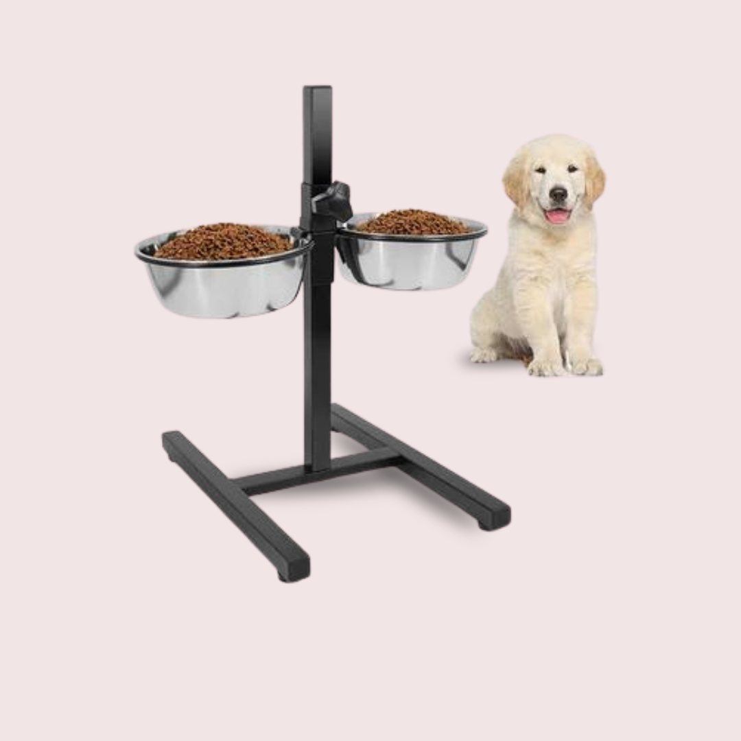  Dog Bowls With Stand