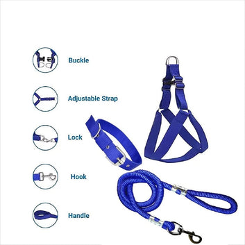 Combo Pack of Padded Dog Walking Belt