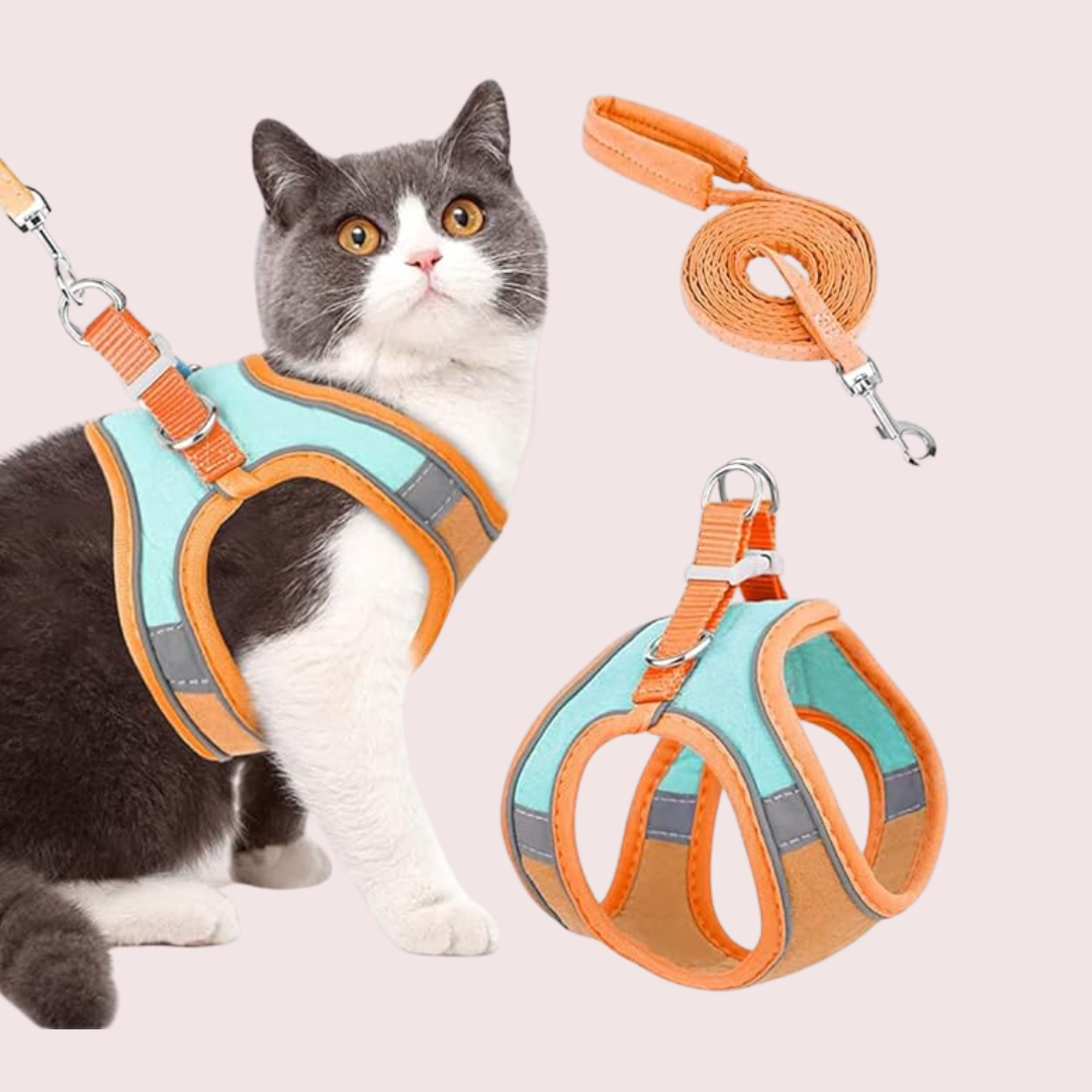 Kitten Harness And Leash