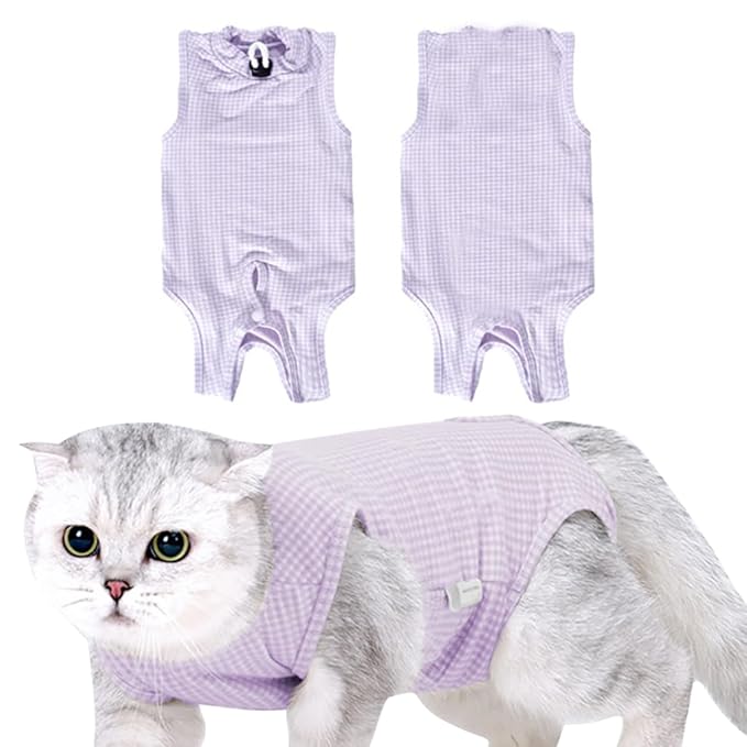 Cat Recovery Suit