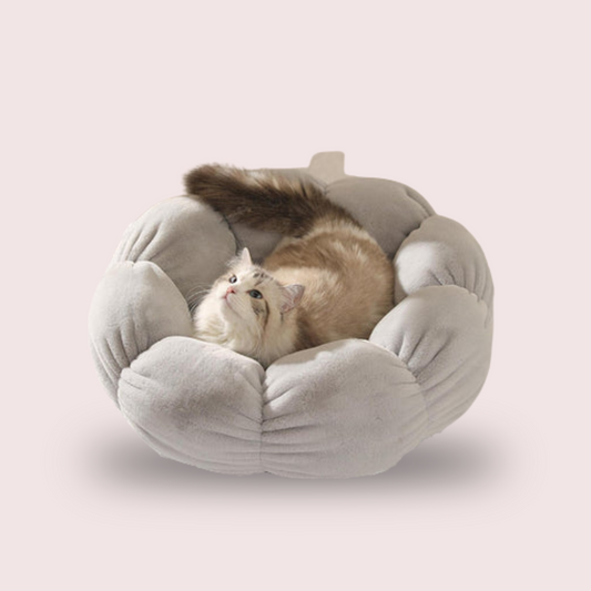 Round Design With Ultra Soft Fabric Kitten Bed