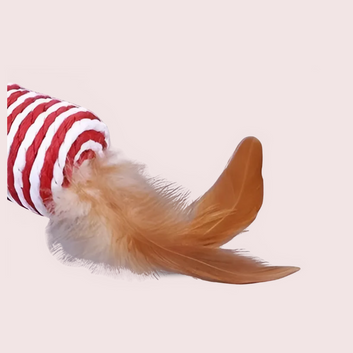 Paper Rope Lattu Shape Feather Dog And Cat Toys