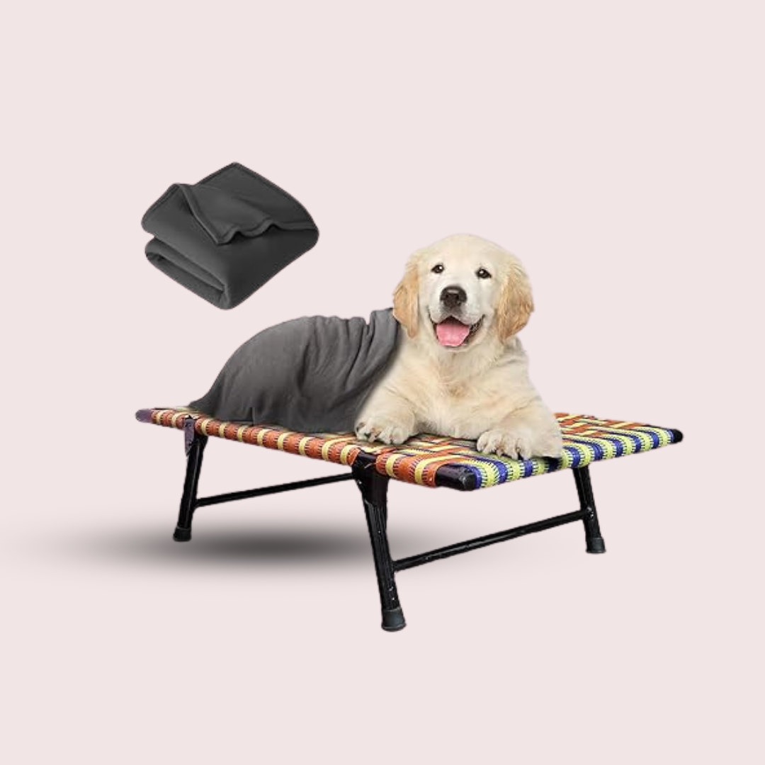  orthopedic dog bed