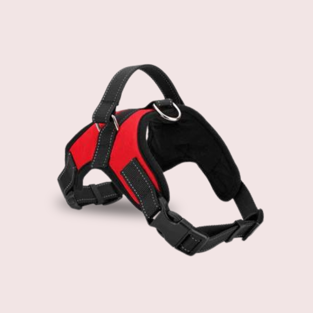 Dog Harness