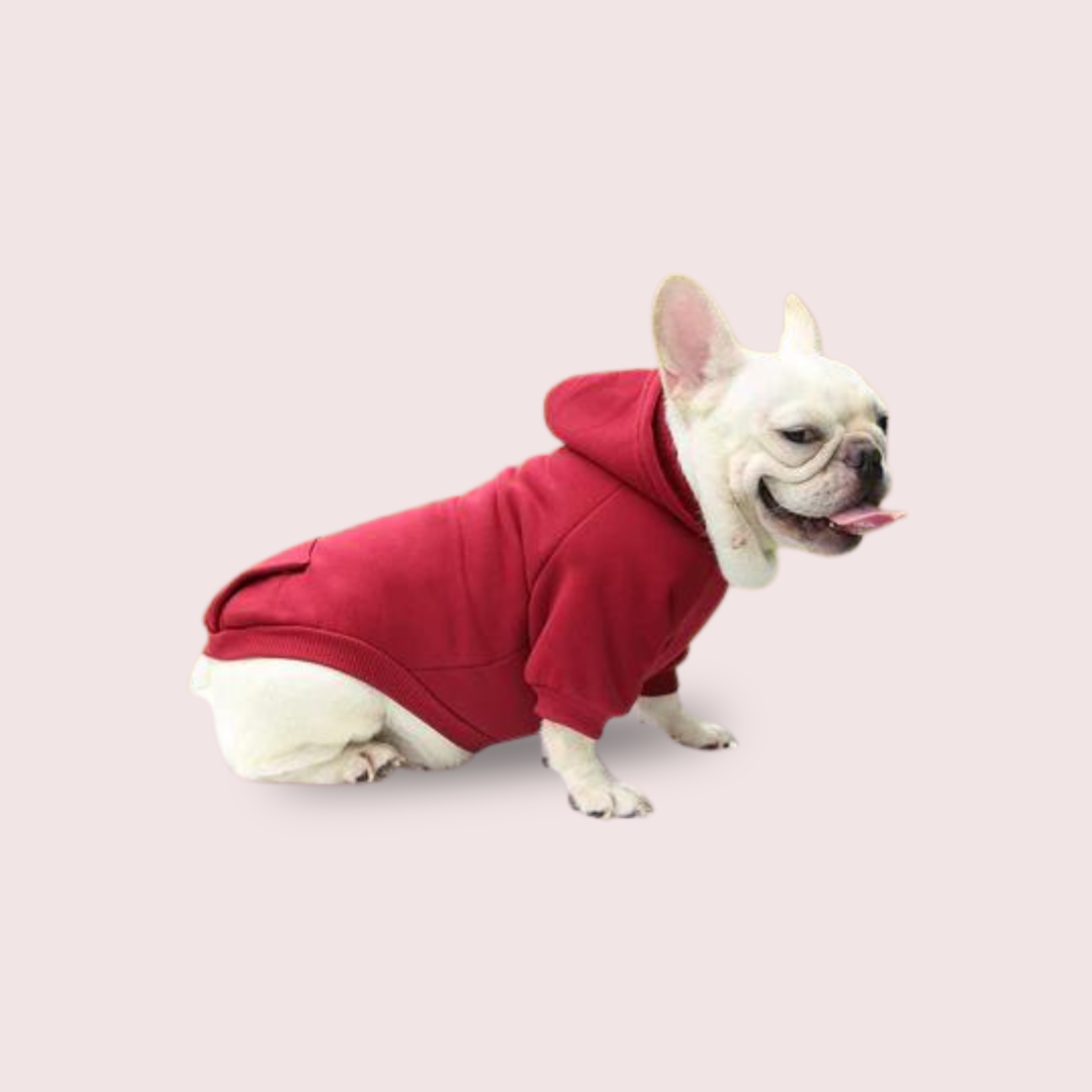 Dog Hoodie