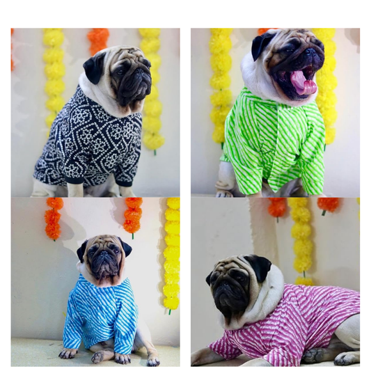 Kurta Outfit For Dogs With Friendly Material