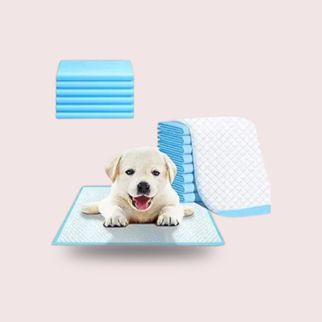 Small Puppy Pee and Potty Pads. Pack of 1,  5pcs