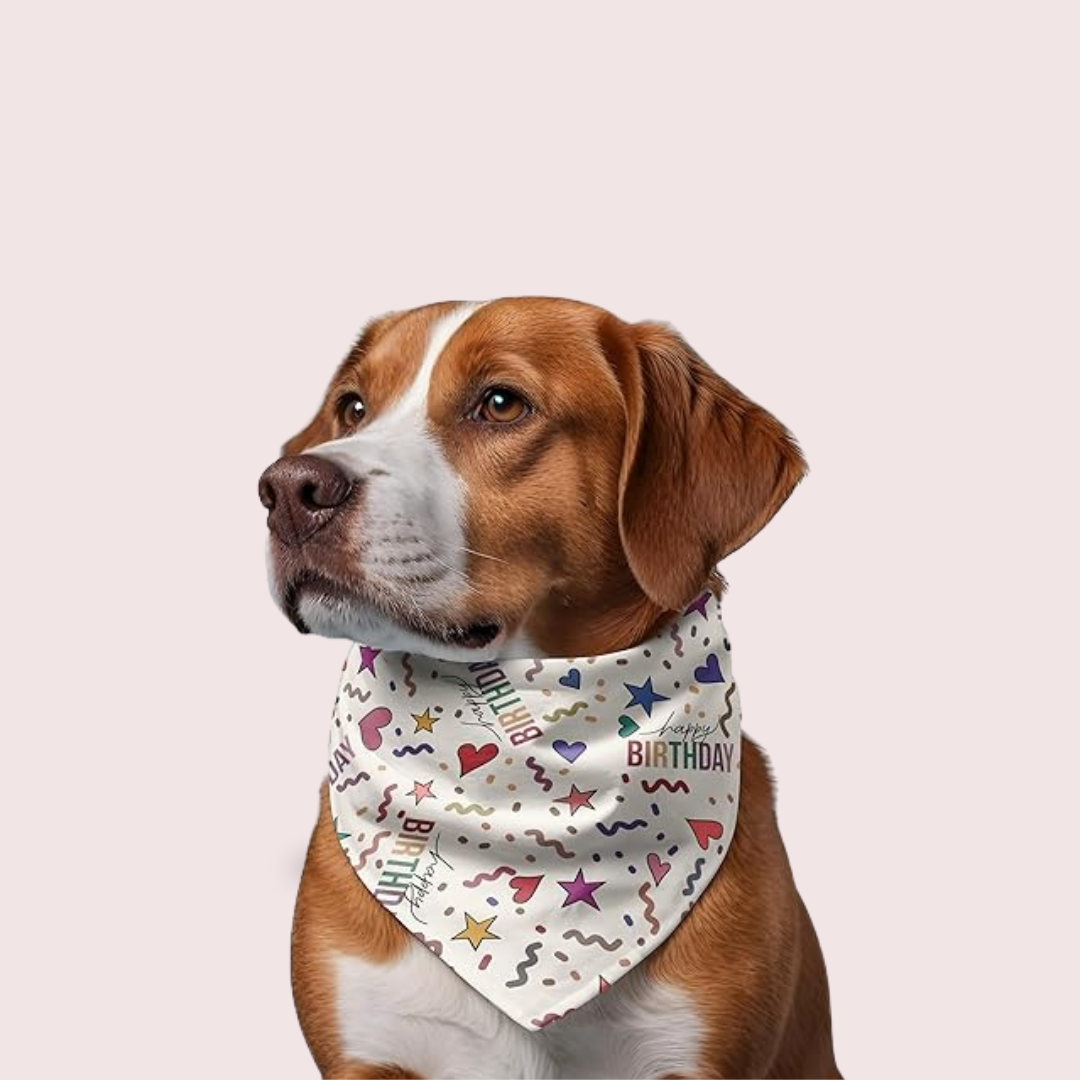 Dog Bandana Collar