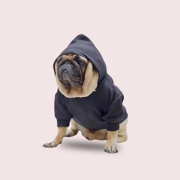 Dog Hoodie