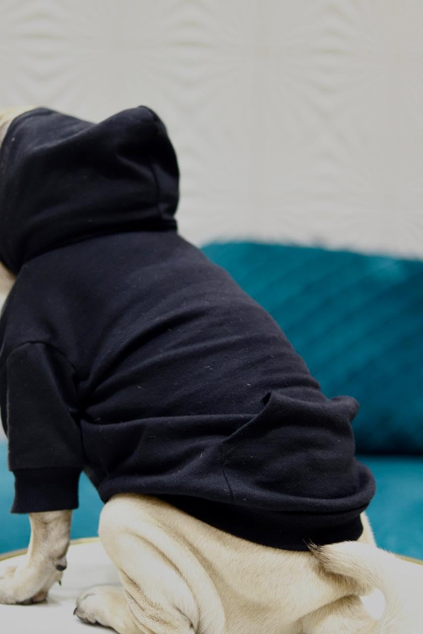 Dog Hoodie