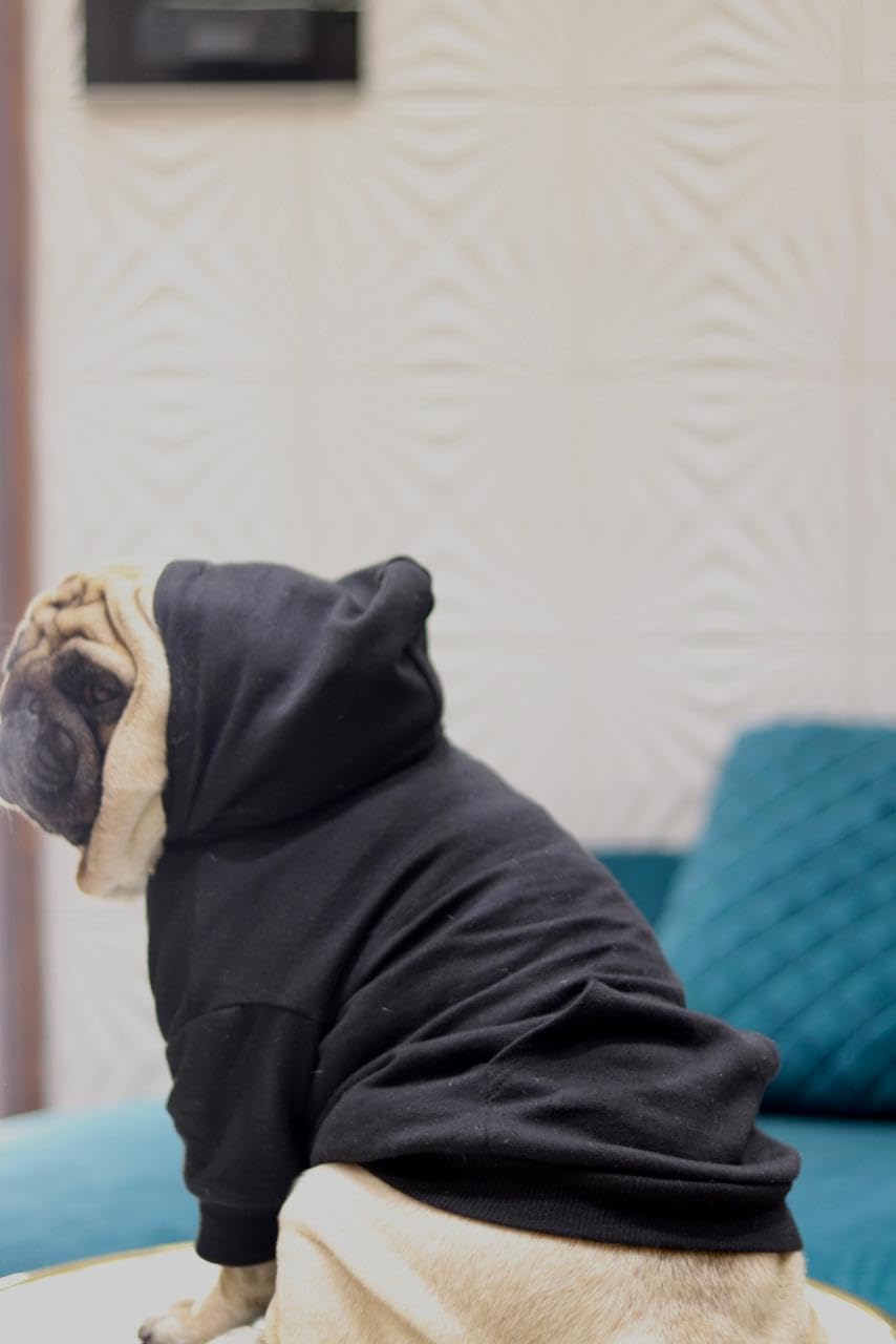 Dog Hoodie