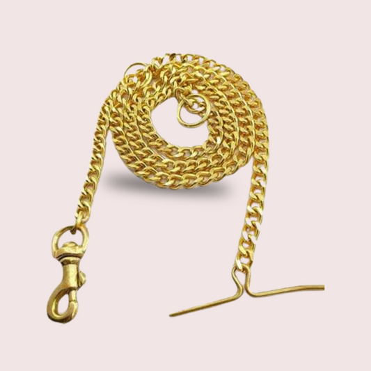 A Heavy-Duty Gold Chain For A Dog