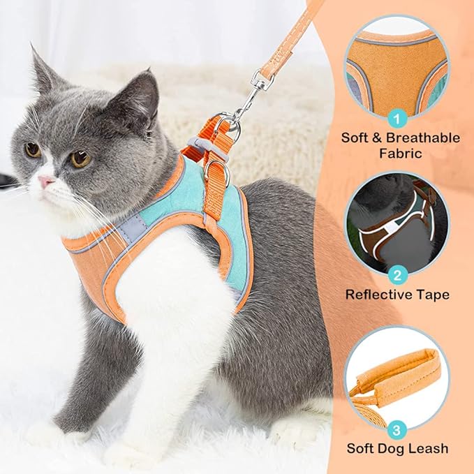 Kitten Harness And Leash