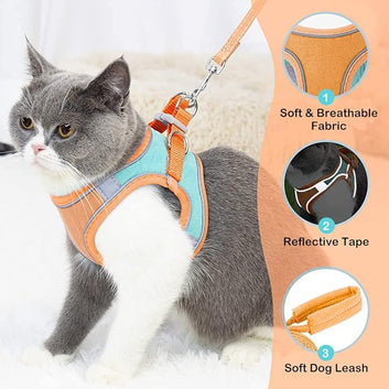 Reflective Strip With Kitten Harness And Leash