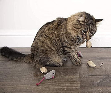  Cat Mouse Toys