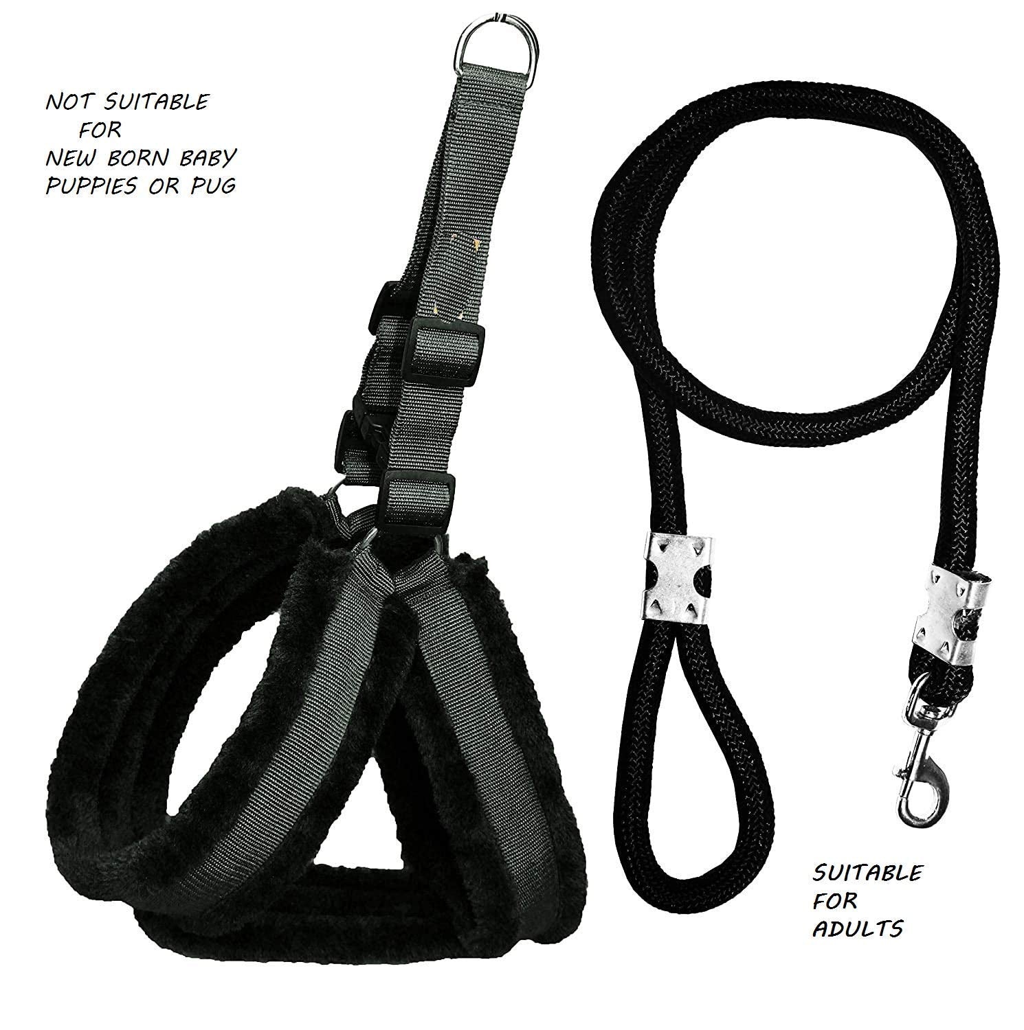 Dog Harness And Leash