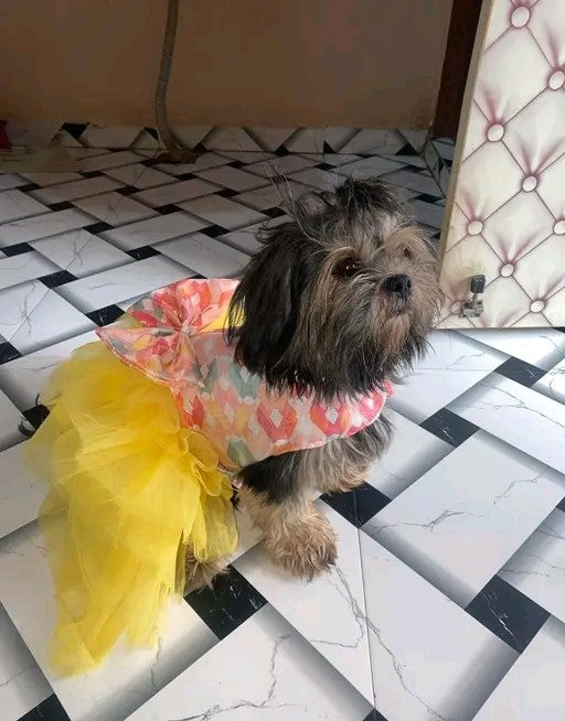 Pawbuddy's Dog & Cat dress - furely