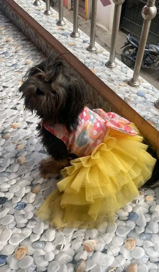 Pawbuddy's Dog & Cat dress - furely