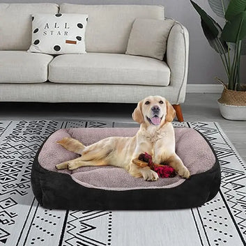 Anti-Anxiety Round Cushion Dog Sofa