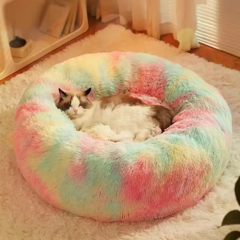 Small Puppy Bed