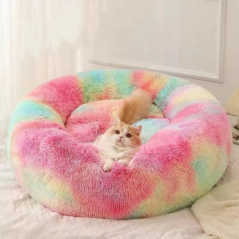 Small Puppy Bed