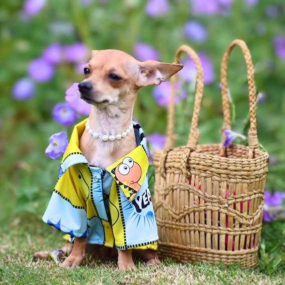 Puppy Shirts