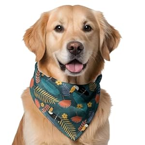 Dogs Bandana Collar