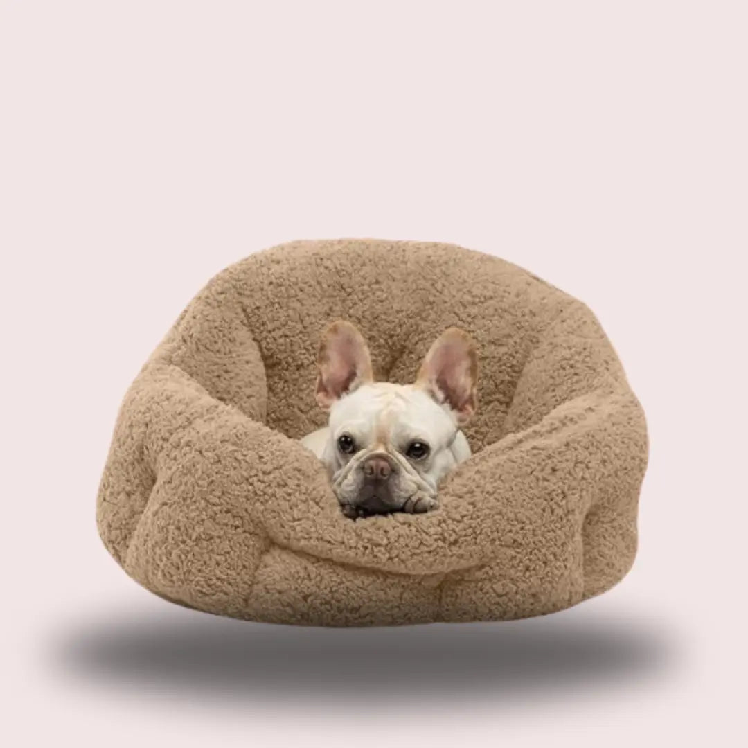 Puppy Dog Bed